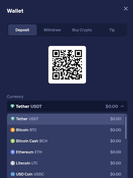 Step 2 — Deposit cryptocurrency to Duel Casino — copy wallet address in cashier